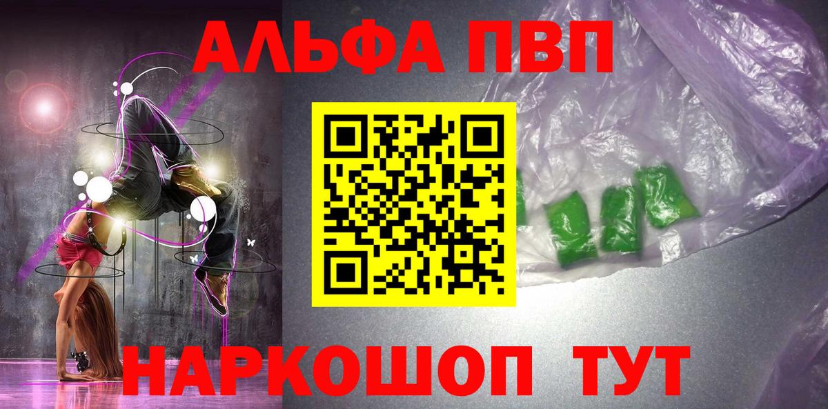 Альфа ПВП СК Кингисепп