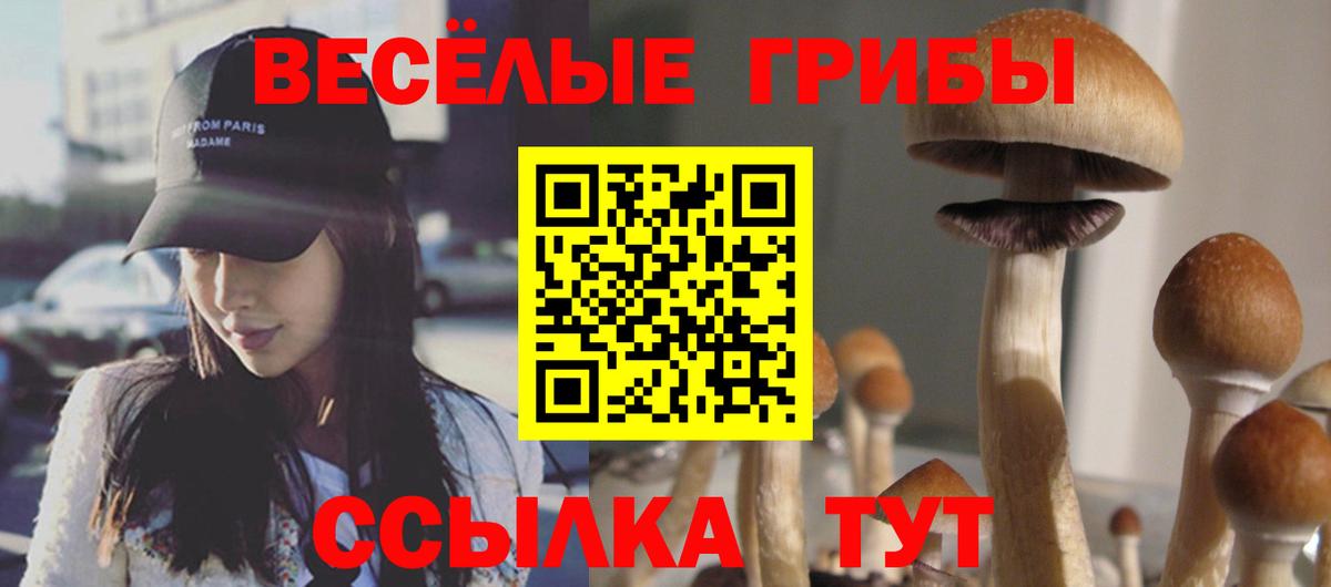 Кингисепп  Псилоцибиновые грибы Magic Shrooms  Вход с VPN 